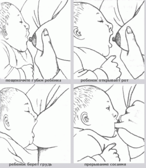 كيفية إعطاء الطفل الثدي
