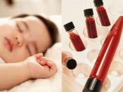 comment un bébé prélève du sang dans une veine