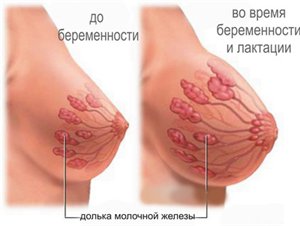 breast pain while feeding