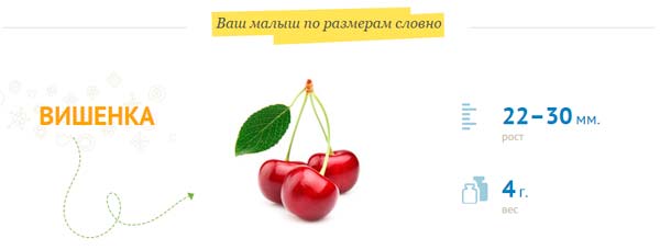 frugt med kirsebær