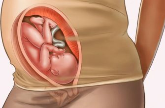 30 setmanes d’embaràs