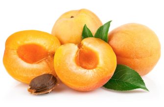 abricots
