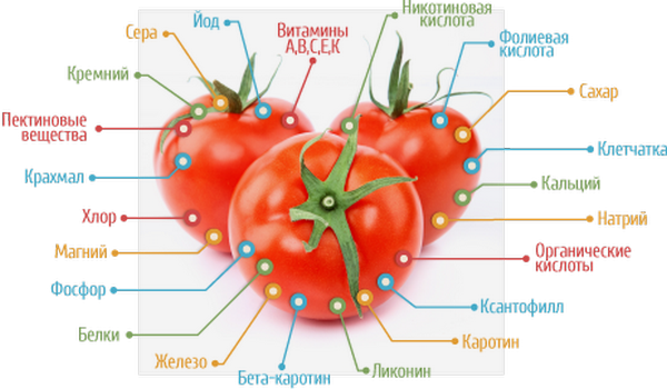 βιταμίνη-v-pomidorax
