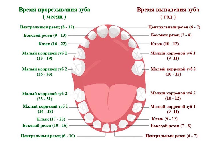 vrijeme zuba u djeteta